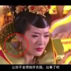 49tk图库绿色版本